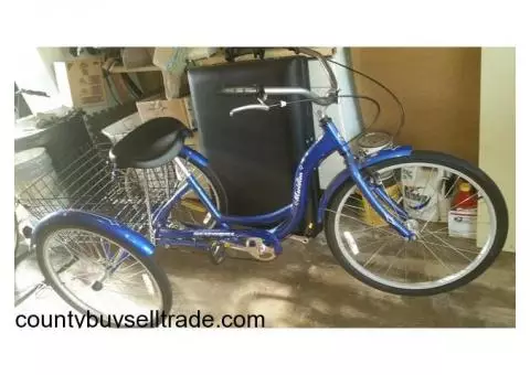 Schwinn adult bike